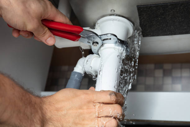 Best Water damage restoration mold remediation  in Buenaventura Lakes, FL