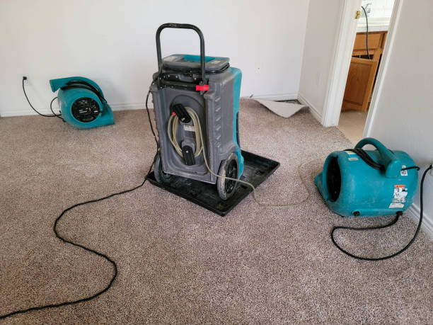 Water damage restoration mold remediation in FL