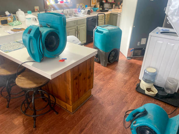  Buenaventura Lakes, FL Water damage restoration Pros