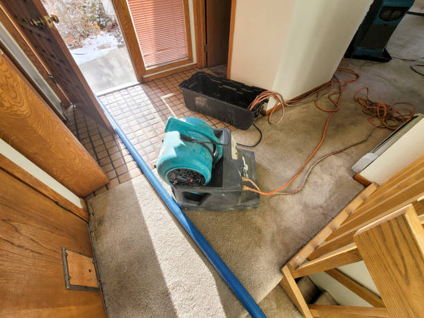 Best Commercial water damage restoration  in Buenaventura Lakes, FL