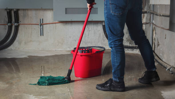 Best Commercial water damage restoration  in Buenaventura Lakes, FL