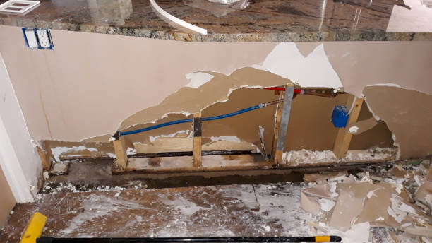 Best Flood restoration services  in Buenaventura Lakes, FL