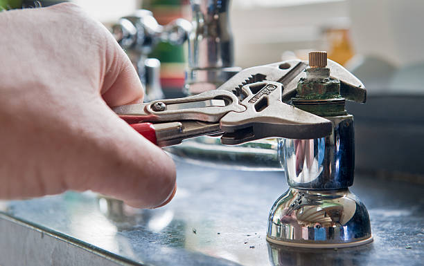 Best Water damage contractors near me  in Buenaventura Lakes, FL