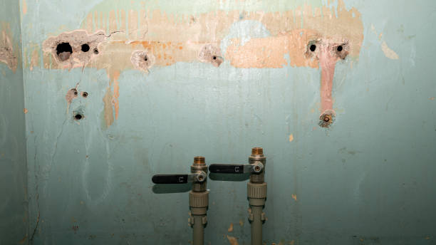 Best Flood damage cleanup  in Buenaventura Lakes, FL