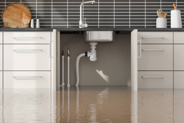 Best 24-hour water damage restoration  in Buenaventura Lakes, FL