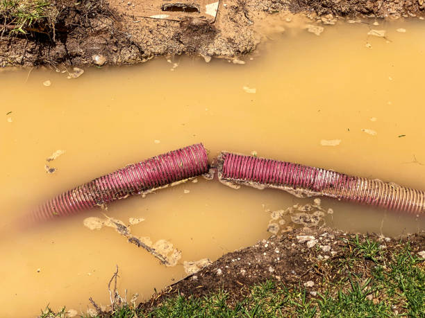 Best Water damage restoration near me  in Buenaventura Lakes, FL